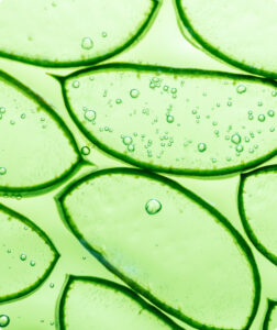Aloe Extract