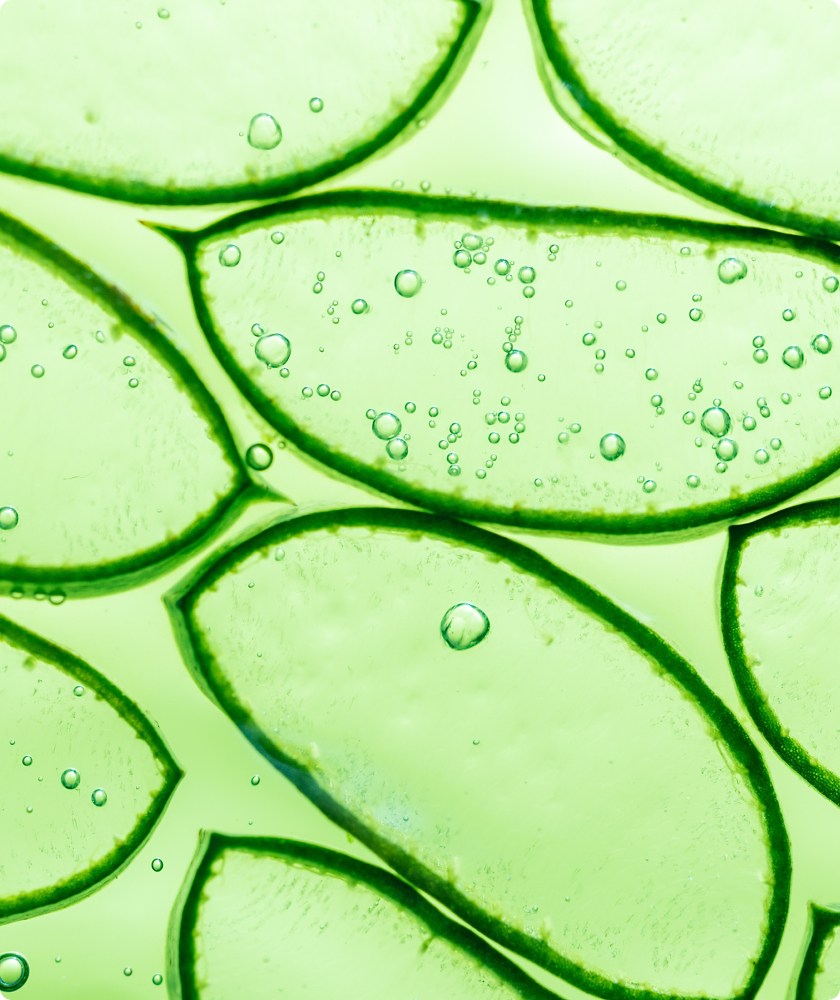 Aloe Extract