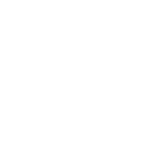Vegan Products