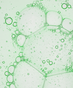 Salicylic Acid